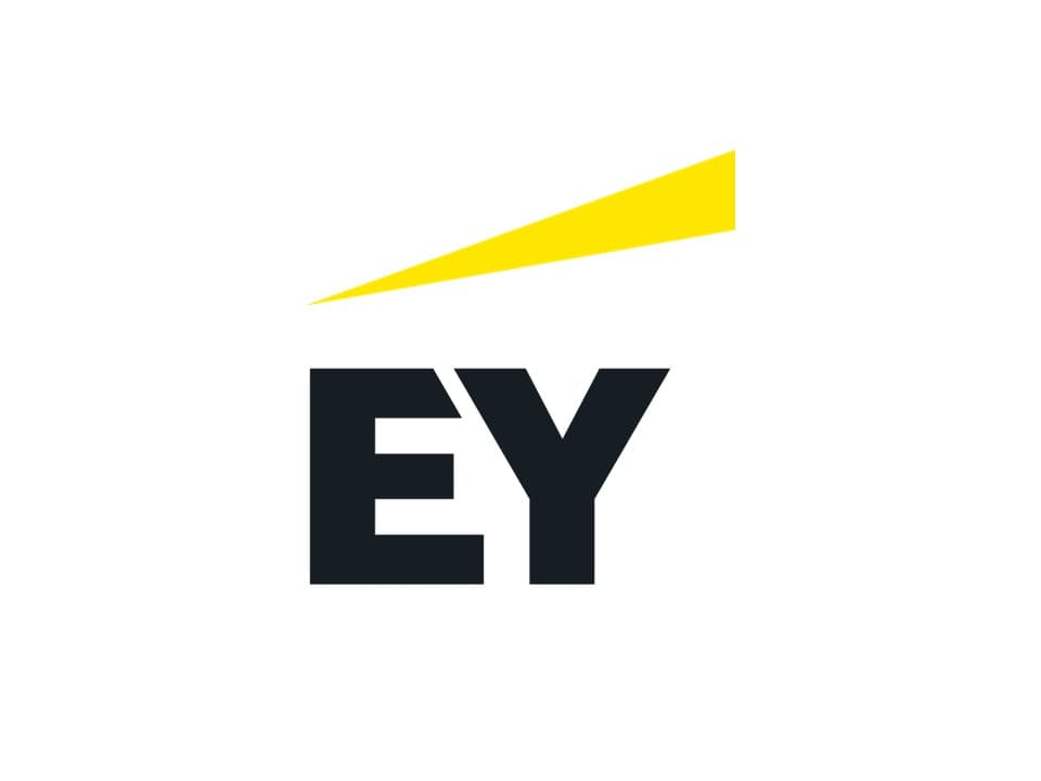 EY - Workshop with Apéro